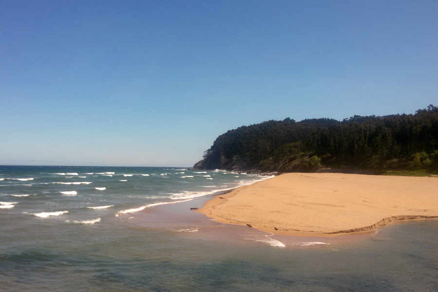 Schöne Strandzunge 
